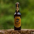 Bier_Shooting_15.webp