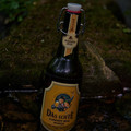 Bier_Shooting_16.webp