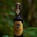 Bier_Shooting_17.webp