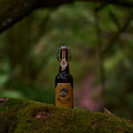Bier_Shooting_19.webp