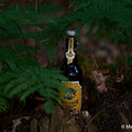 Bier_Shooting_20.webp