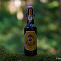 Bier_Shooting_21.webp