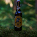Bier_Shooting_23.webp