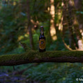 Bier_Shooting_26.webp