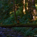 Bier_Shooting_27.webp