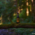 Bier_Shooting_29.webp