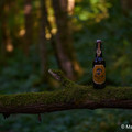 Bier_Shooting_31.webp