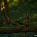 Bier_Shooting_32.webp