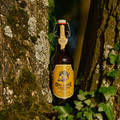 Bier_Shooting_33.webp