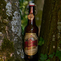 Bier_Shooting_37.webp