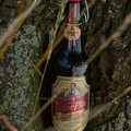 Bier_Shooting_38.webp