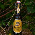 Bier_Shooting_39.webp