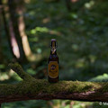 Bier_Shooting_42.webp