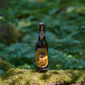 Bier_Shooting_43.webp