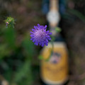 Bier_Shooting_44.webp