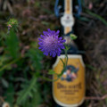 Bier_Shooting_45.webp