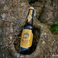 Bier_Shooting_5.webp