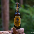 Bier_Shooting_54.webp