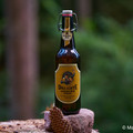 Bier_Shooting_55.webp