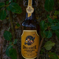 Bier_Shooting_58.webp