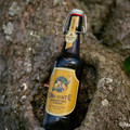 Bier_Shooting_6.webp