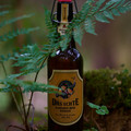 Bier_Shooting_60.webp