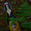 Bier_Shooting_61.webp