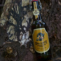Bier_Shooting_64.webp