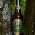 Bier_Shooting_74.webp