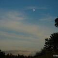 Natur_14.webp