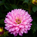 Natur_15.webp