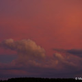 Natur_5.webp